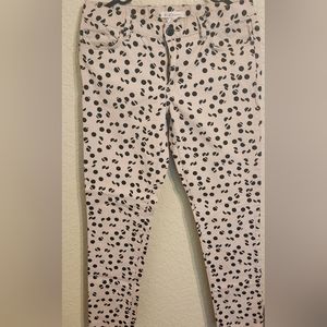 BCBG Cotton Pants